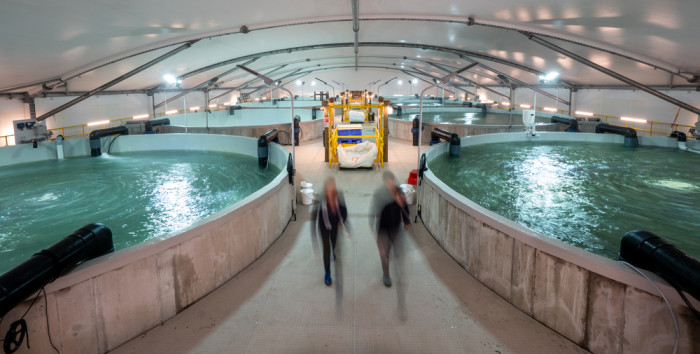 Inside the Northland Reticulating Aquaculture Centre 
