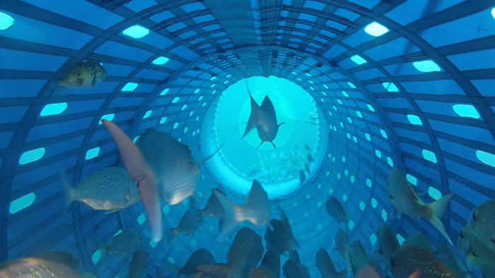 The FloMo design has holes for off-target fish to escape the trawl net