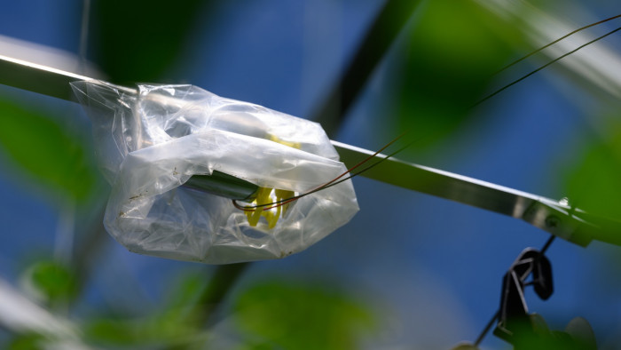 Scientists are looking at new tools, like biotremology, to control insect pests