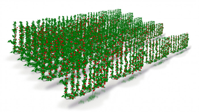 Graphic: The Future Orchard Planting System (FOPS)