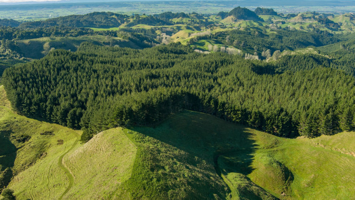 Forest science supports resilient land-use decisions