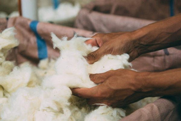 27 Wools of NZ