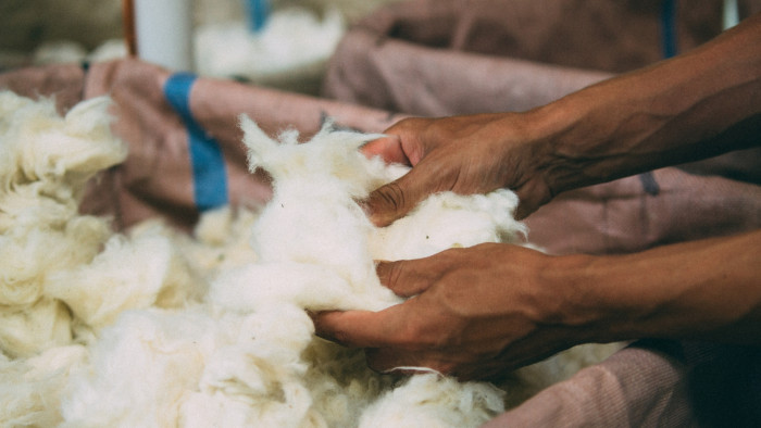 Image of wool classers. Science has helped unlock the potential of New Zealand wool.