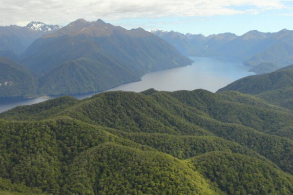 Zealandia gns