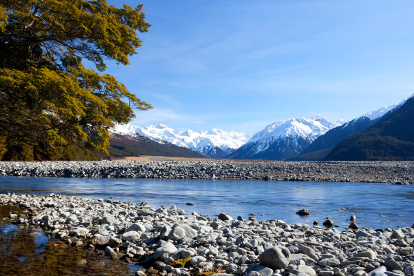 theme conserve nz
