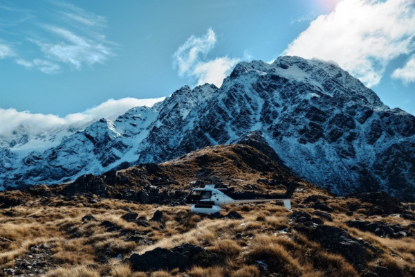 theme understanding nz