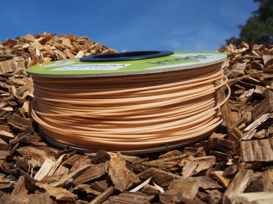 Scion team award 2019