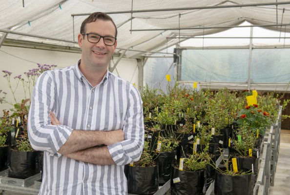 AlbertNick 4282 Plant Food